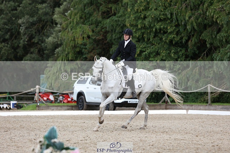 230812-151733-05099 - Cls 5 Novice Bronze 15.00 to End