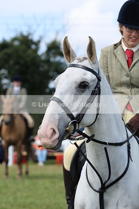 JPP_1486 - Class 17: Cornish Combination Open