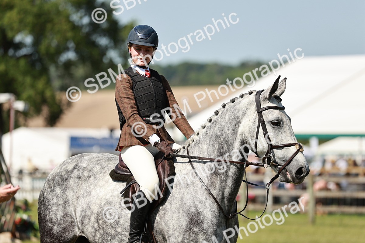SBM_18362 - Class 112-113 - BSPS LIHS Working Sports Pony