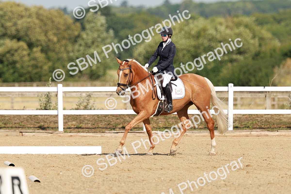 SBM_021093 - Class 12 - P6