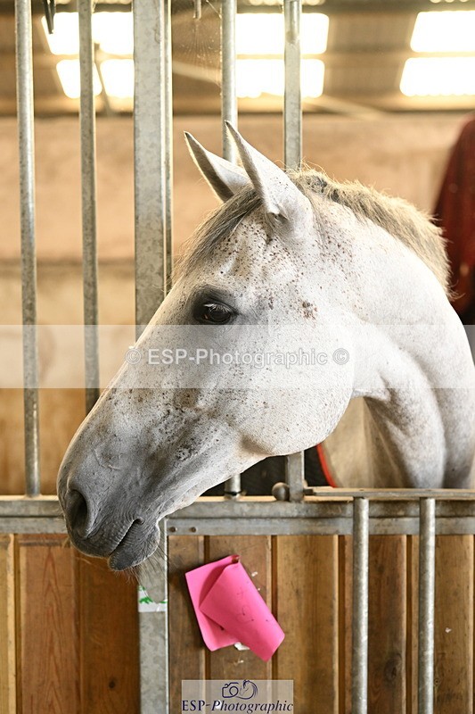 240809A-084548-00003 - Stable Shots