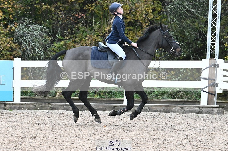 231118A-130717-02057 - Cls 6 BlueChip Pony Sapphire Qualifier