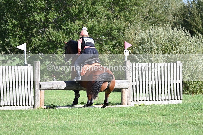 WJ7_1303 - Time 13:56 to 14:24