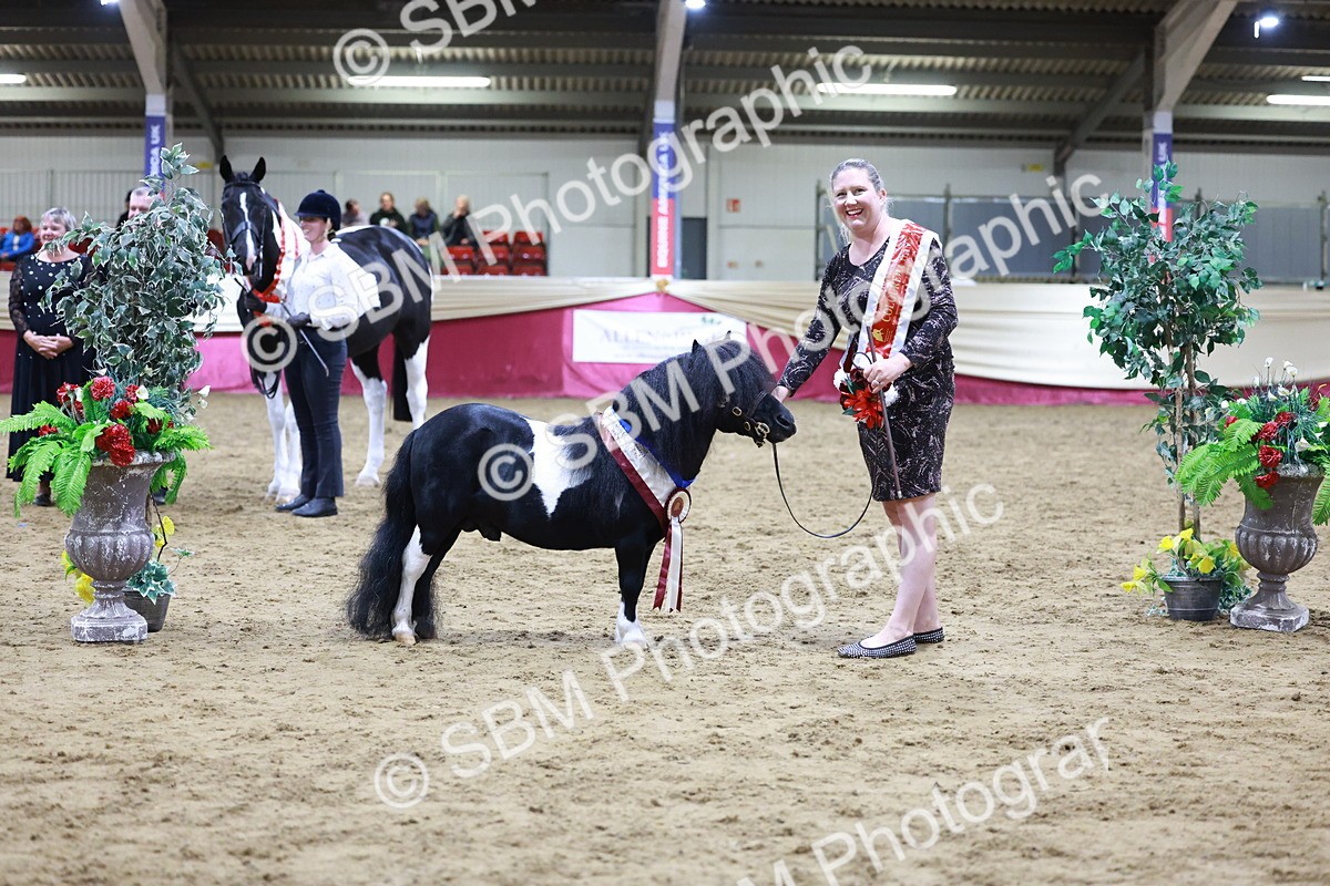 SBM_20872 - Class L - Coloured Champ