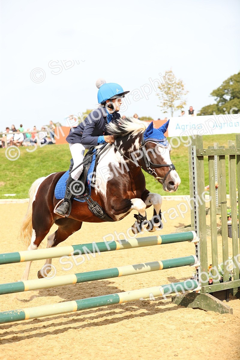 SBM_66239 - J17 - Junior Pony 80cm Championship