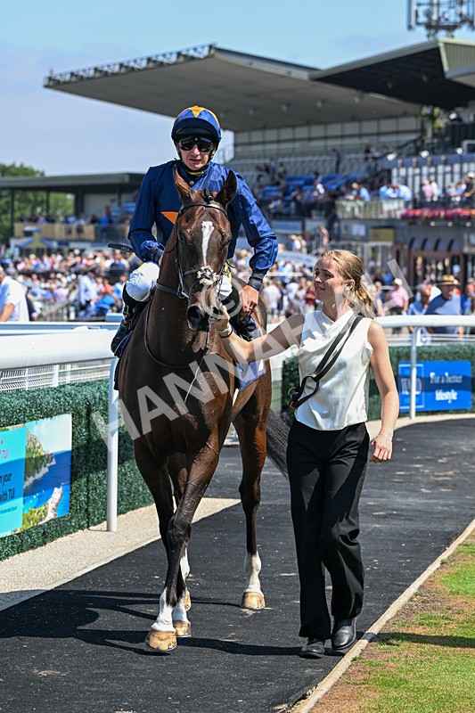140726-Race 1-Fast Track-9339 - Race 1 14.17pm EBF Fillies' Novice Stakes