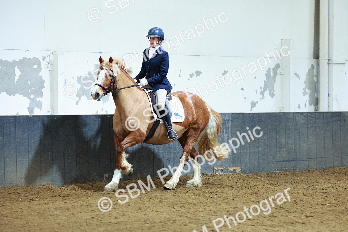 SBM_003660 - Novice 2