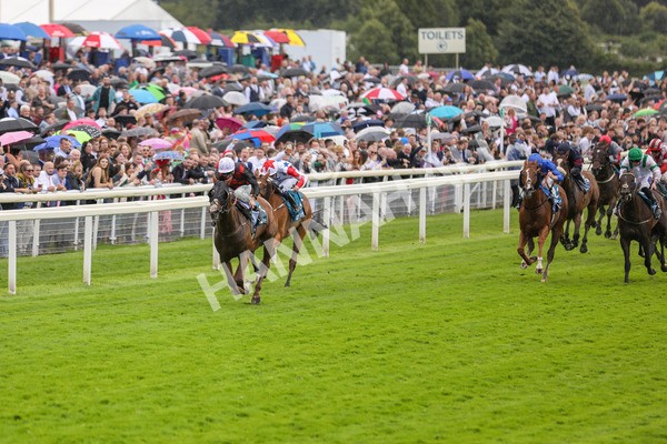 150723-Race 1-Blue For You-8739 - Race 1 2.00pm John Smith's Racing Handicap