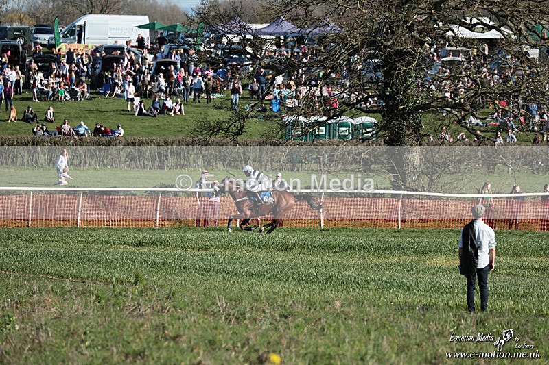 PtP 210326 566 - VWH Cirencester Races 21/03/26