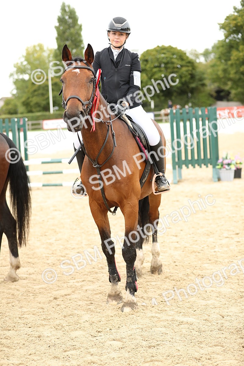 SBM_63185 - Supreme championship 75cm 80cm