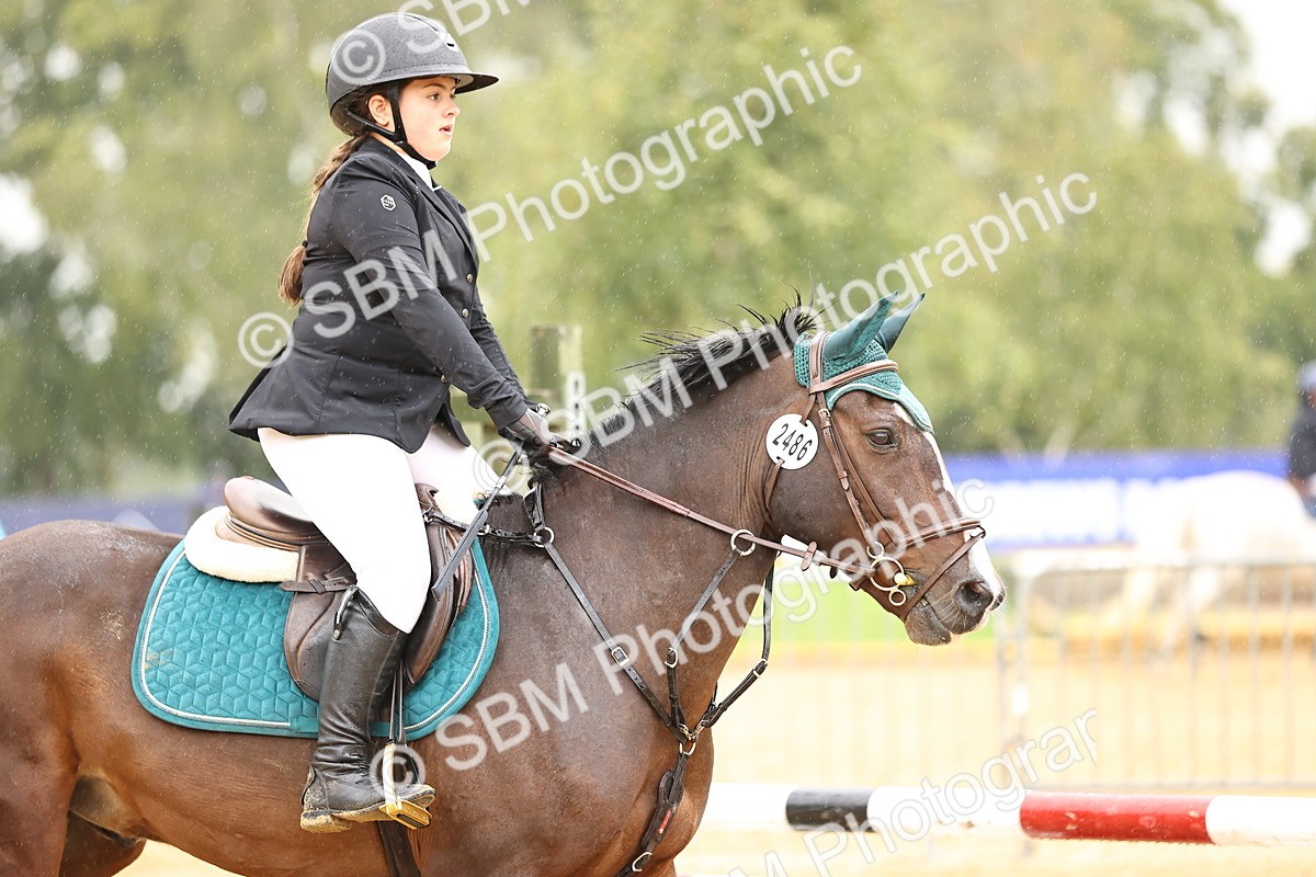 SBM_69912 - Supreme Championship 80cm 85cm