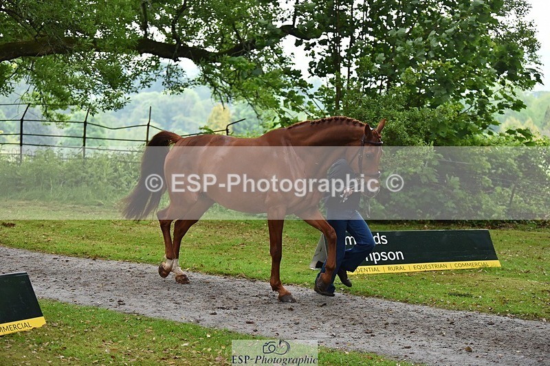 240522-164520-01132 - 219-HIT_CHAN_BOY_ALFA-Valentine_Emsens