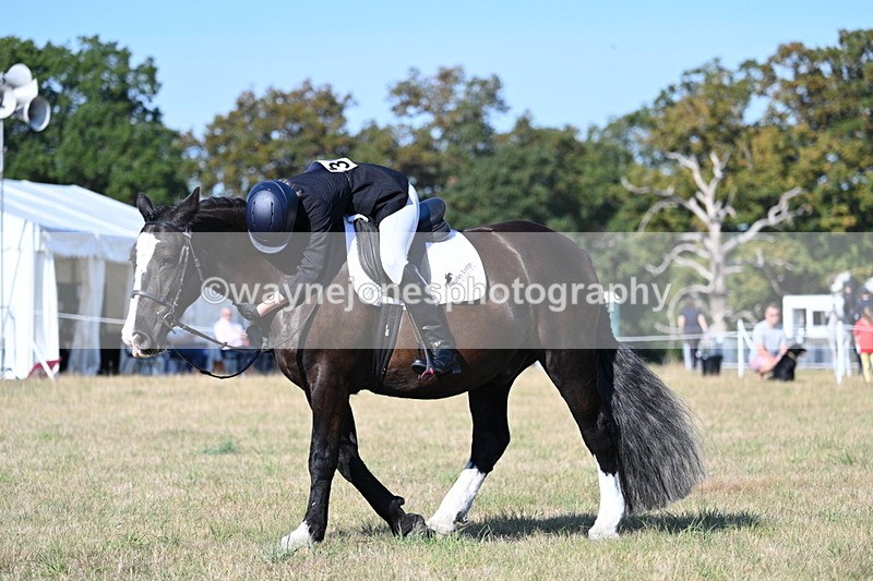 WJ7_9173 - Time 09:27 to 10:03