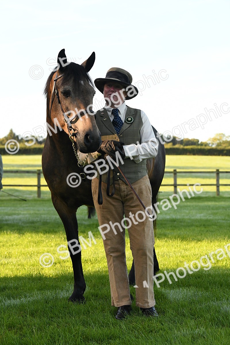 SBM_32704 - S15 - Condition & Turnout In Hand