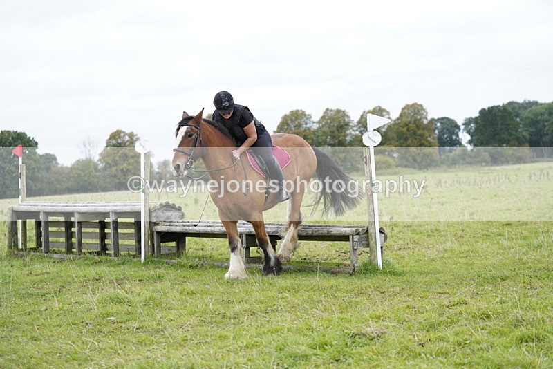 _DSC8134 - Time at Photographer 11:57 to 12:36