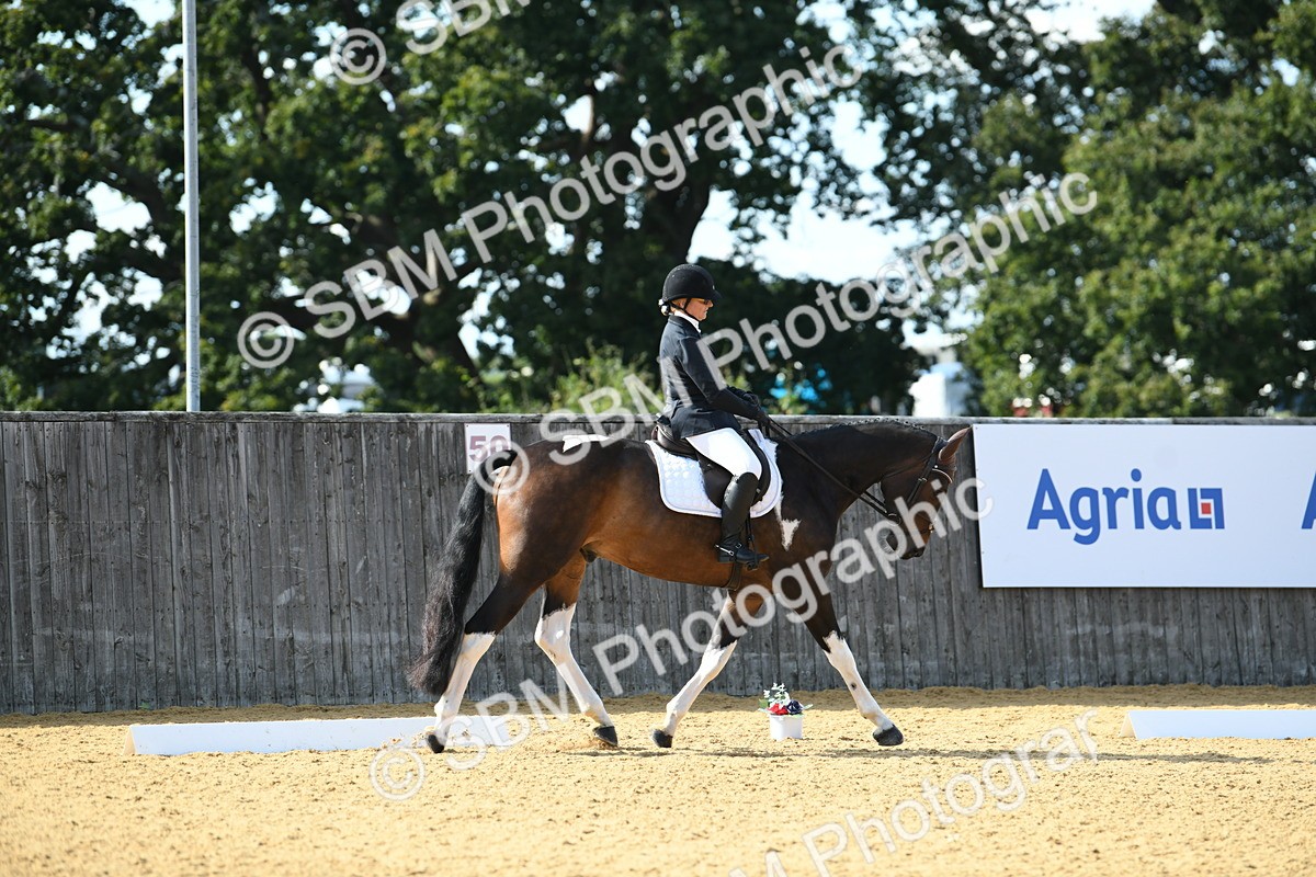 SBM_26992 - D16 - Small Tour Championship - Novice 28