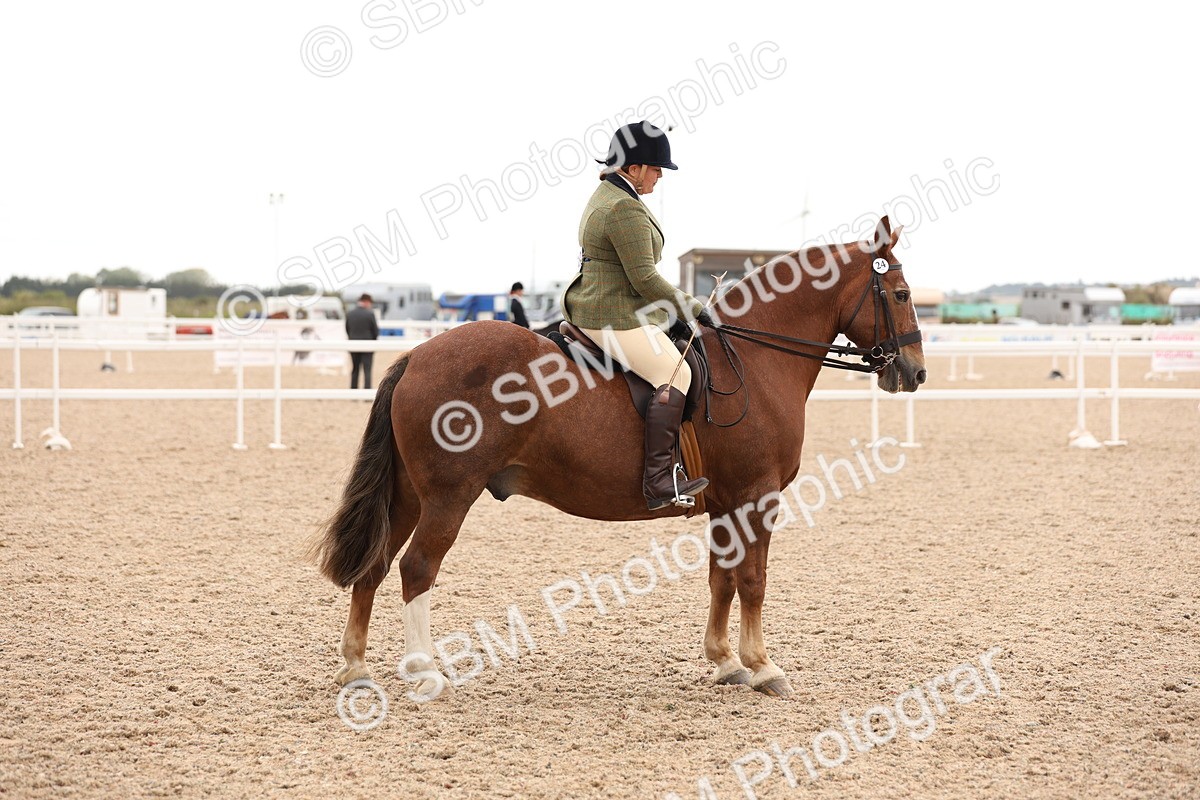 SBM_19592 - Class 215 - Ridden Show cob