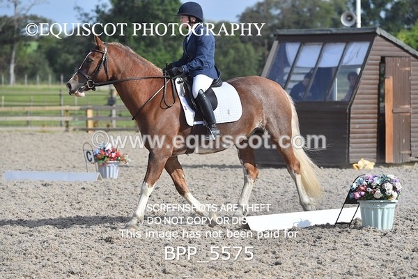 BPP_5575 - MY QUEST OPEN PRELIM TEST 1 + 2