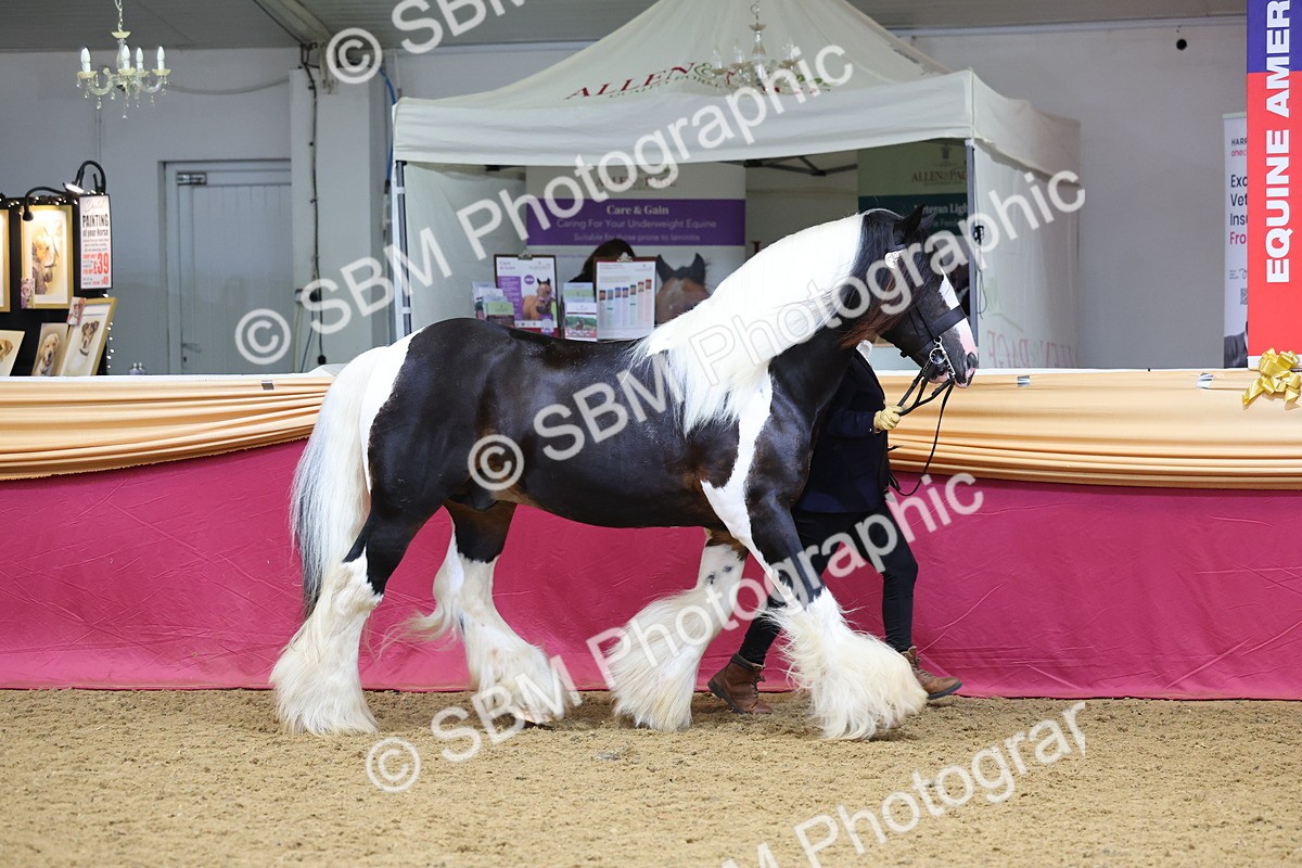 SBM_22683 - Class 903 - Supreme Final - IH Pre Vet