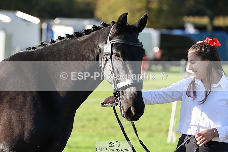 241027-092315-15254 - 357-Eleanor.Newcombe-MR.DARCY