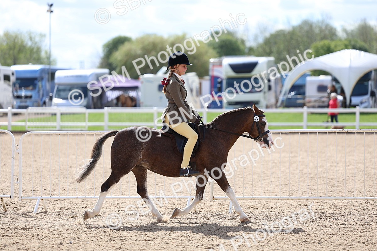 SBM_13279 - Class 311 - Ridden Show Pony Show Hunter Pony