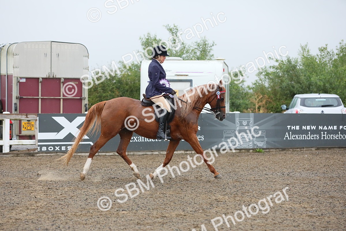 SBM_20400 - Class 803 - Ridden Combination 65+