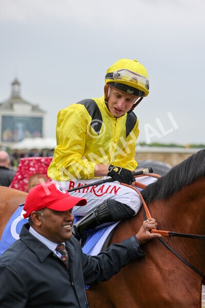 yr11052022r1-8 - Race 1 1.50pm Sky Bet Race to the Ebor Jorvik Stakes