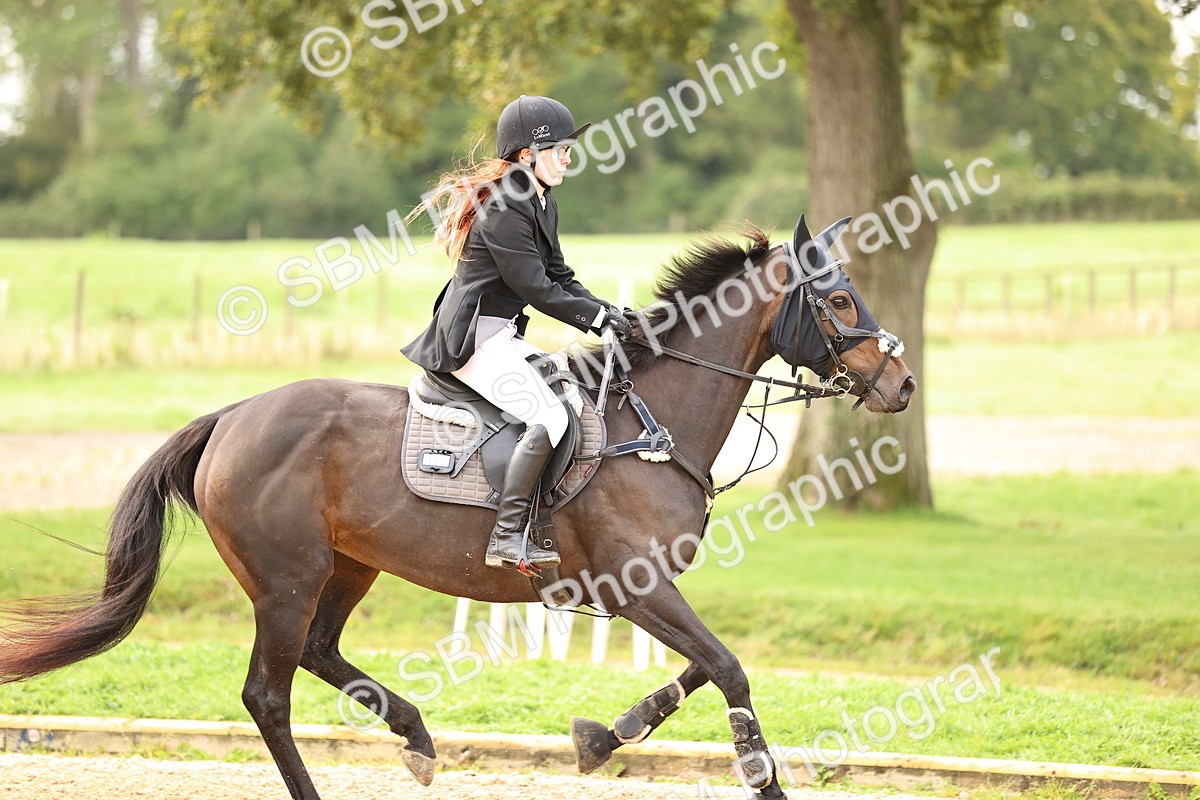 SBM_58444 - J41 - Grand Tour Horse & Pony 95cm