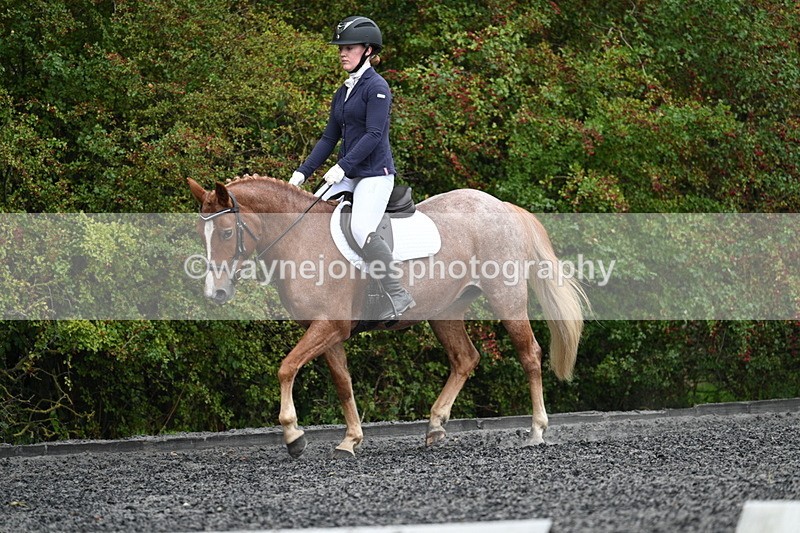 WJ7_3314 - Time 09:54 to 10:54