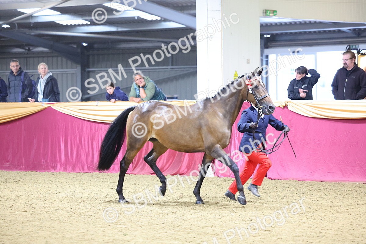SBM_18931 - Class F Grass Roots Champ