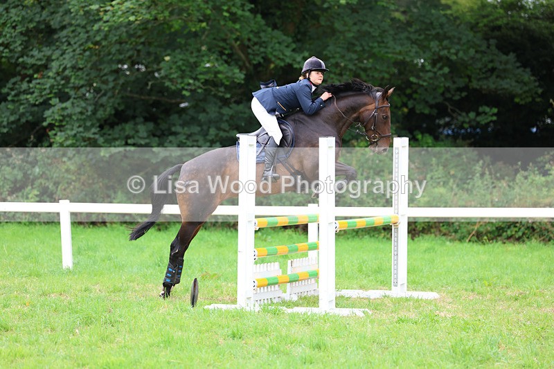 3E7A7185 - Class 5: Senior British Novice/90cm open