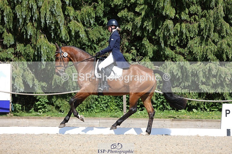 230526-162624-07821 - 171-SLANEYSIDE_COOLEY-Lara_Chapple-WEDTrotUp+DR