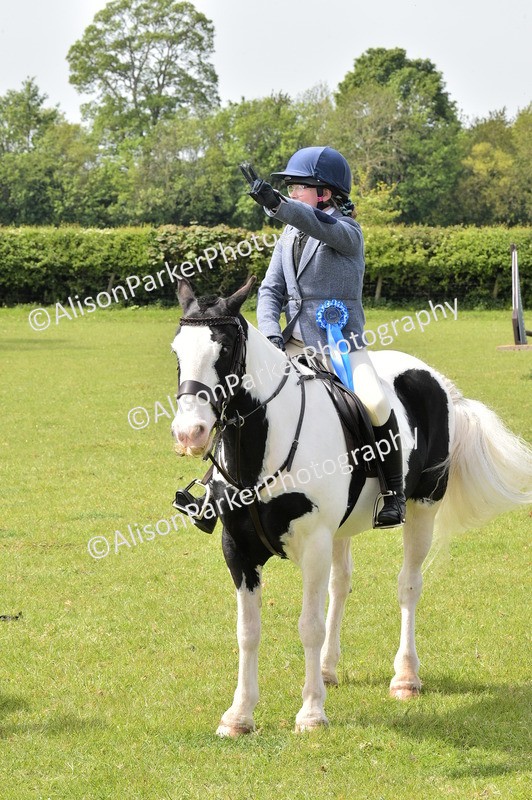 20260426-2346 - Class 20 - Beginner Working Hunter