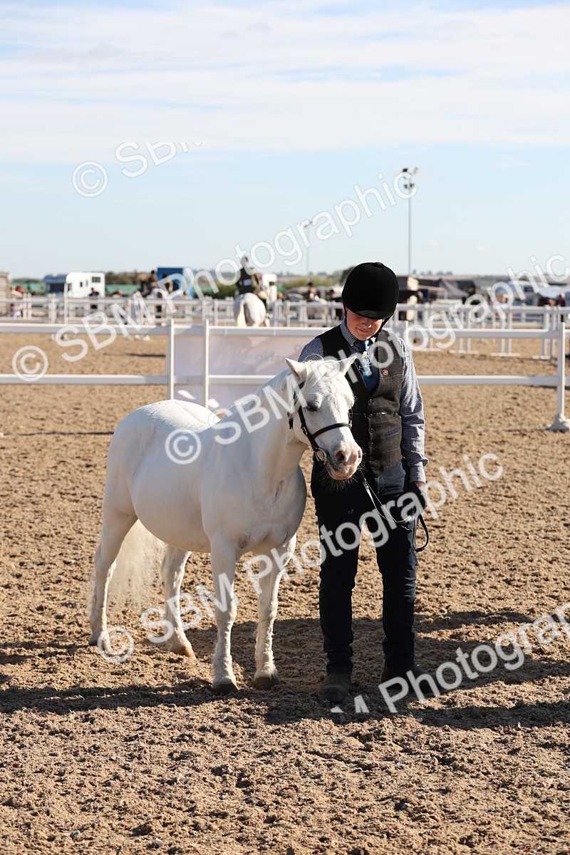 SBM_11740 - Class 204 - Young Handler 11 to 16 years