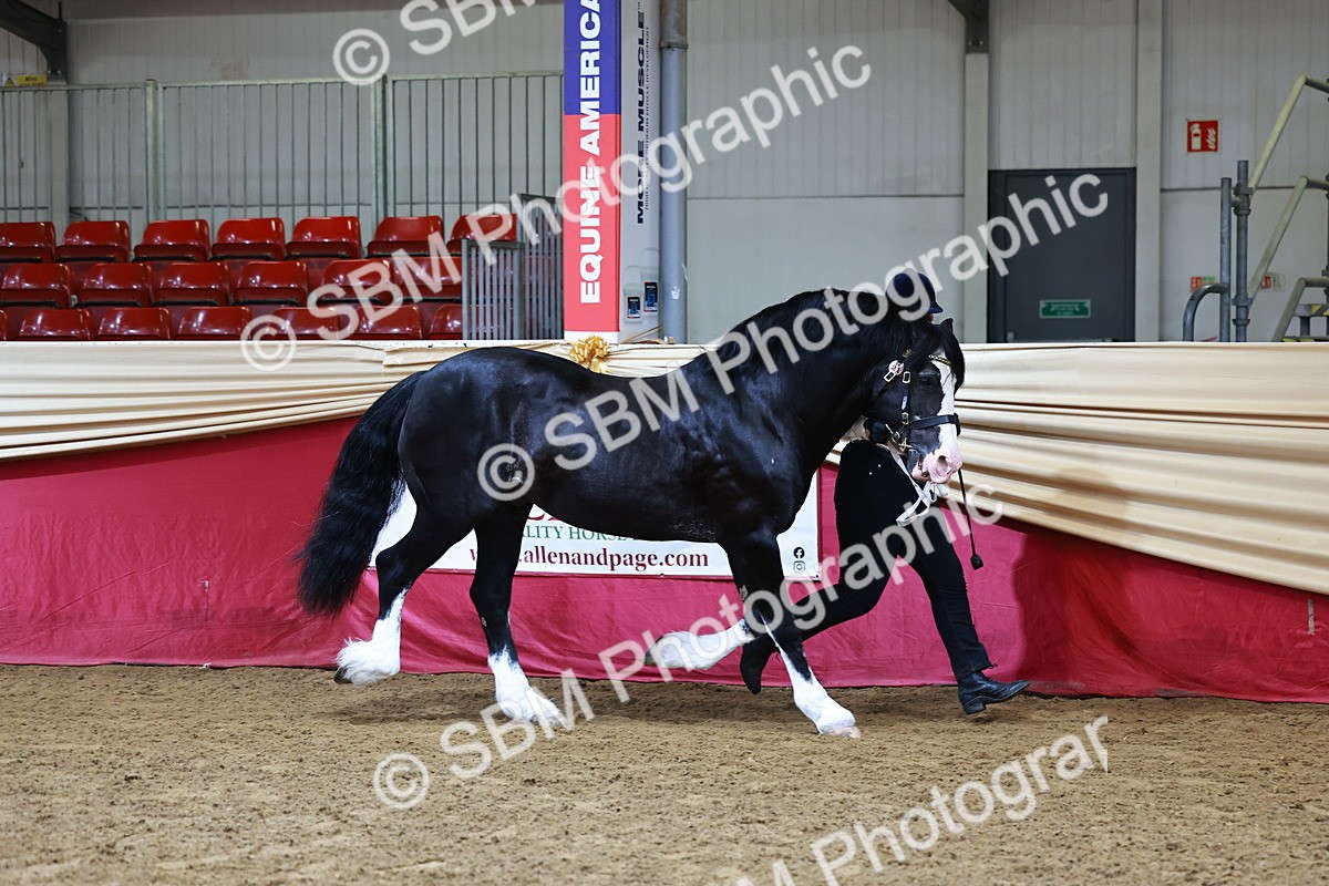 SBM_22114 - Class 902 - Supreme Final - IH Diamond