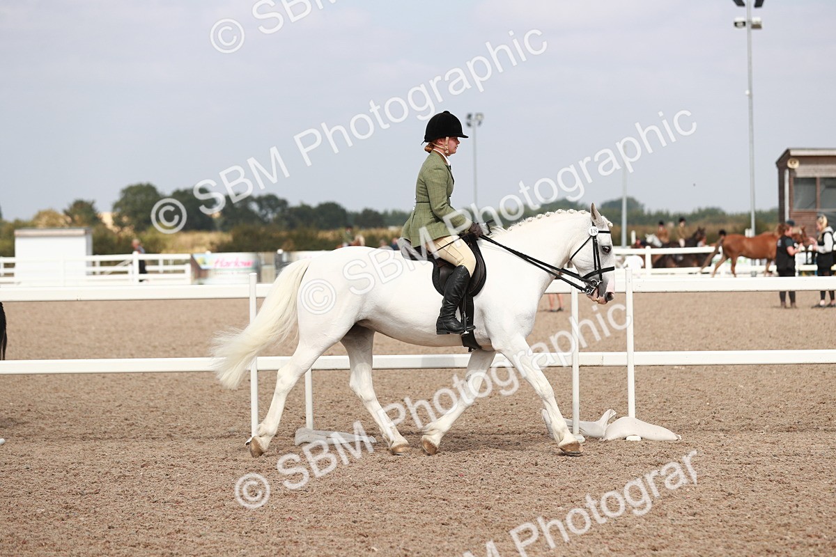 SBM_14807 - Class 212 Ridden Hunter - Small