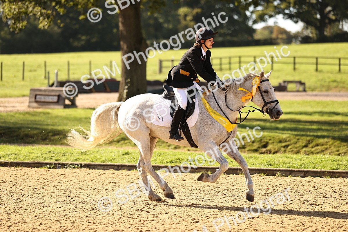 SBM_35251_J38 - Senior 80cm Championship - Michaela