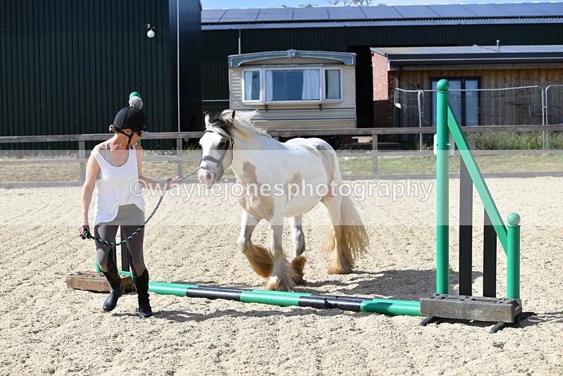 WJ5_5451 - Poles on the Floor