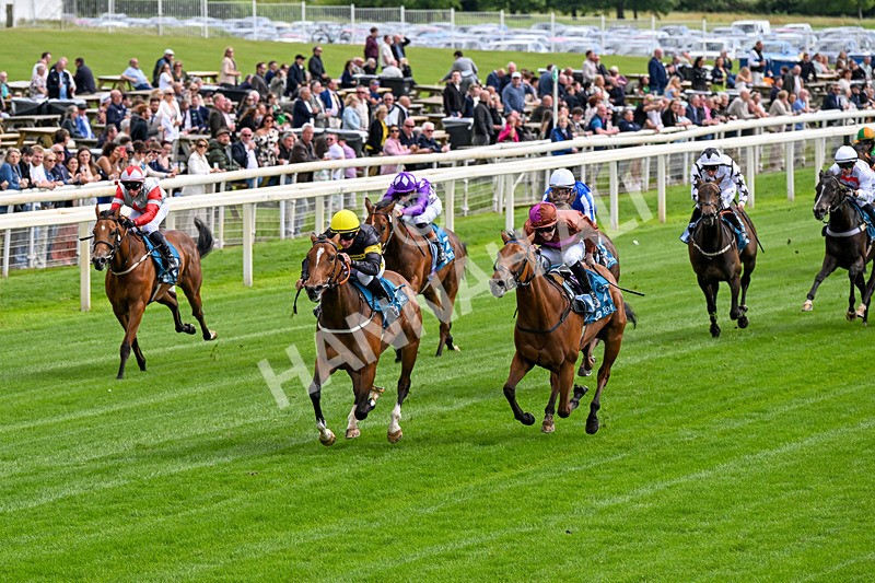 120626-Race 4-Big Negotiator-0218 - Race 4 15.35pm Juddmonte EBF Fillies' Restricted Novice