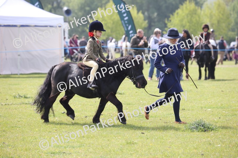 20260426-2571 - Class 31 - Leading Rein