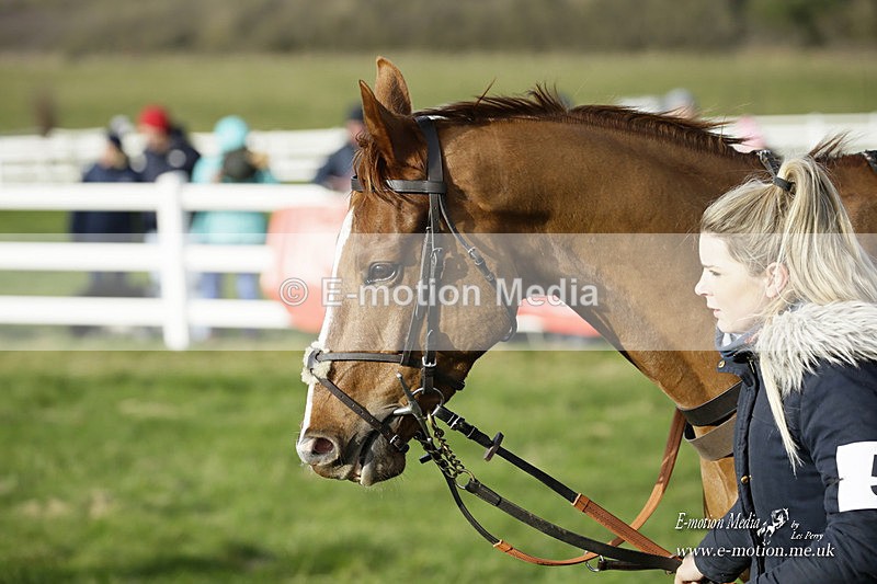 PtP 281121 016 - Hursley Hambledon Point-to-Point Larkhill 28/11/21