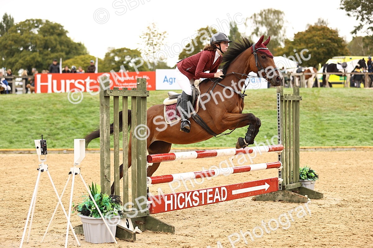 SBM_58335 - J41 - Grand Tour Horse & Pony 95cm