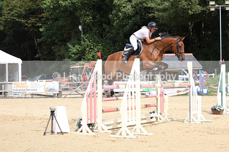 3E7A4277 - Class 8: Senior Foxhunter/1.20 open