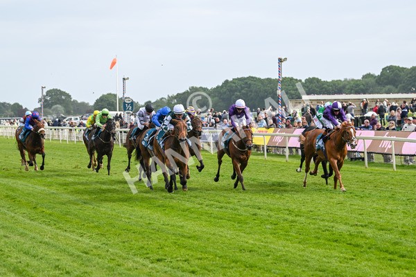 150525-First Legion-5143 - Race 6 4.55pm Frank Whittle Partnership ebfstallions.com Novice Stakes