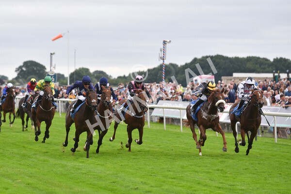 yr18082021r7-22 - Race 7 5.20pm Sky Bet Nursery Handicap