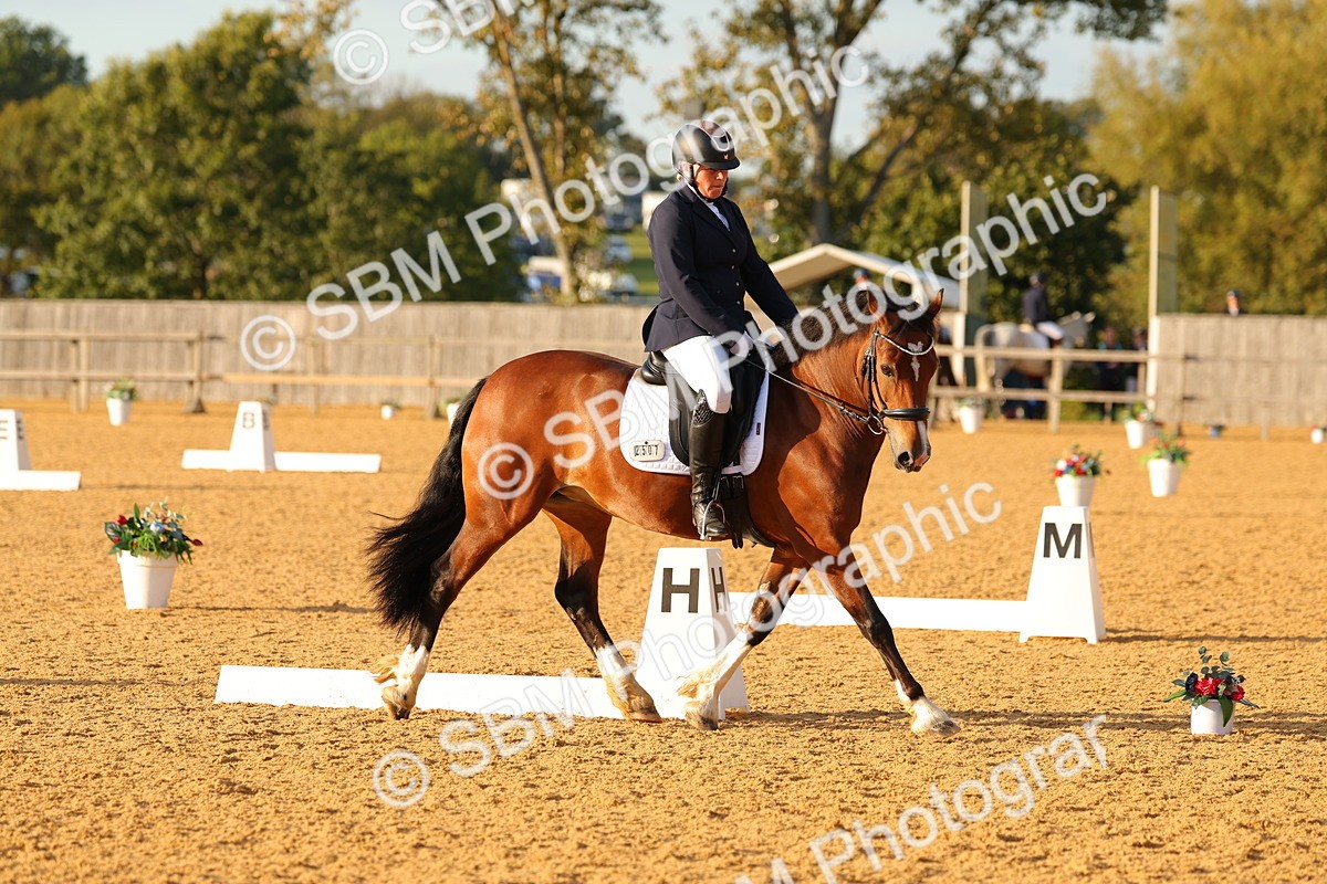 SBM_54512 - D12 - Small Tour Championship - Prelim 18