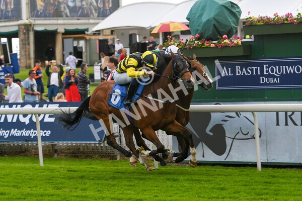 yr10062022r7-13 - Race 7 5.10pm Andy Thornton Hospitality Furniture Stakes