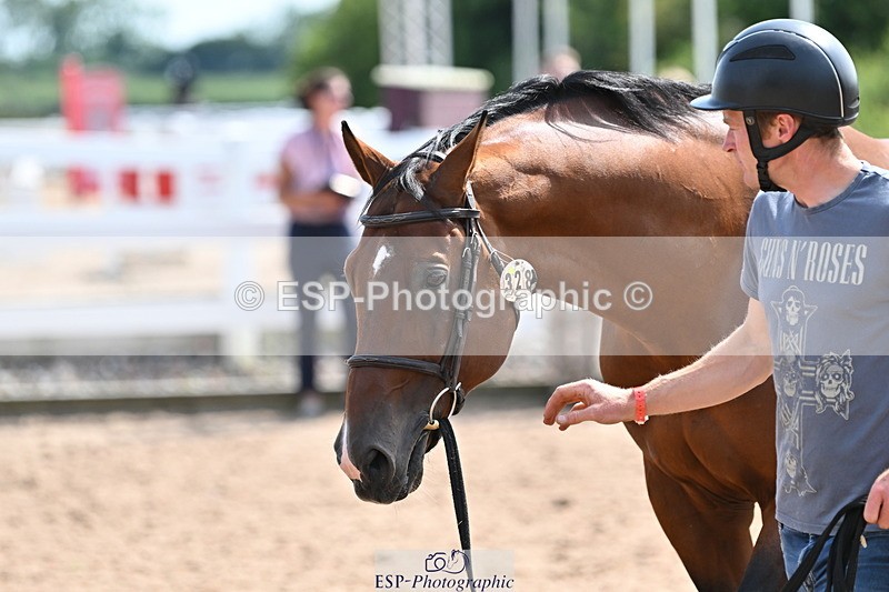 240717A-153029-02853 - Trot Up 3pm to 4pm