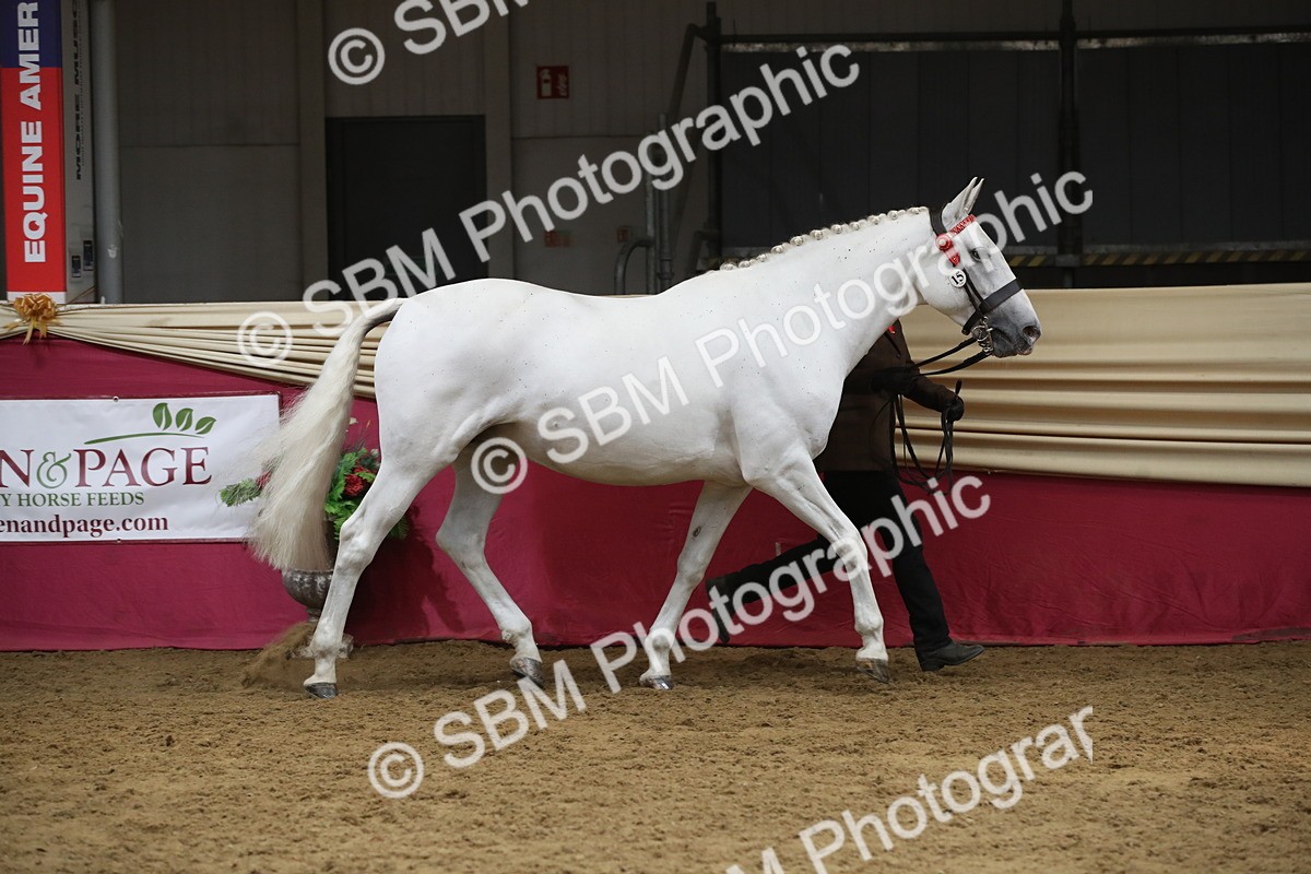 SBM_05486 - Class 9R - Regional IH Pre-Vet