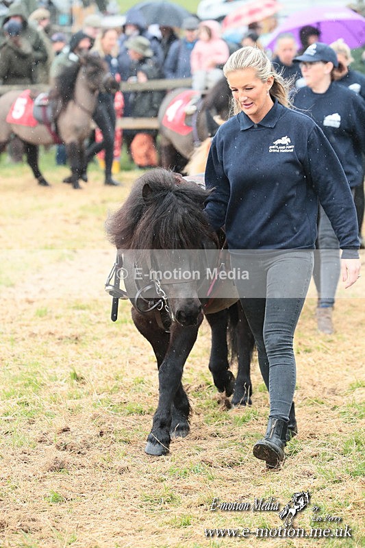 SHETPR 210425 29 - Shetland Ponies Paxford Races 21/04/25
